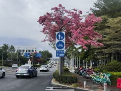 -厦门高崎国际机场-T3航站楼