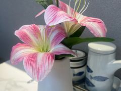 -船歌·鱼水饺青岛菜(枫蓝国际购物中心店)