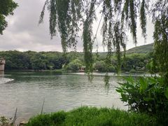 -紫霞湖公园