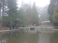 -庐山风景区花径公园