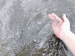 -台山黑沙湾海浴场