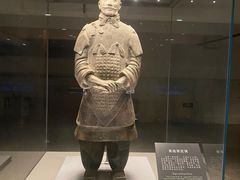-秦始皇帝陵博物院(兵马俑)