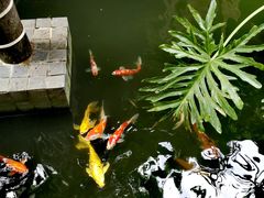 -三亚亚龙湾五号度假别墅酒店