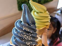 -大阪海游馆