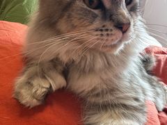 -京门活鱼馆·鱼火锅(百子湾（原红庙）店)