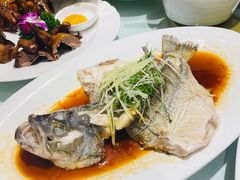 -周锦记广式餐厅(格林生活坊2期店)