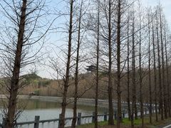 -樱花山风景区