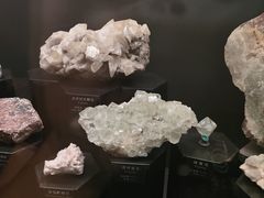 -正佳自然科学博物馆