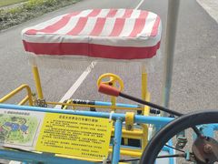 -南宁花花大世界景区