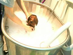 -PETKIT 小佩宠物·低压洗护·美容·寄养(安远店)