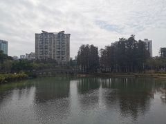 -四海公园(南山区)