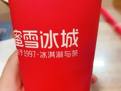 三拼霸霸-蜜雪冰城(新东城商业广场店)