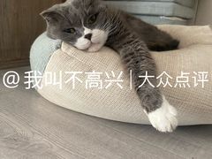 -有才叔的小馆(民乐园店)