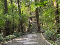 -深圳国际园林花卉博览园