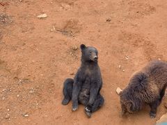 -泉州海丝野生动物世界