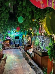 点击看大图 -酷嗒动物文化乐园(cutezoo西溪乐天城店)