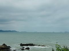 -杨梅坑