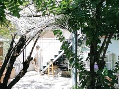 -喵屿·大理花园猫咖