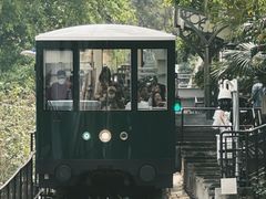 -太平山顶