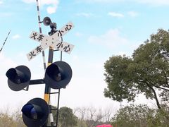 -顾村公园