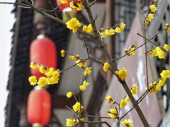 -海窝子古镇