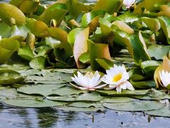 -云龙湖旅游景区