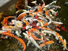 -龙源九号花园酒店(叶埠桥店)