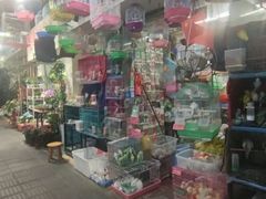 -溪岸路花鸟市场