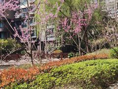 -耀江文鼎苑