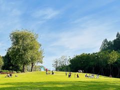 -顺峰山公园