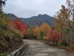 -北京鹫峰国家森林公园