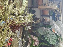 -循礼门鲜花花市(武汉循礼门店)