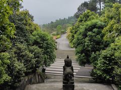 -铁山坪森林公园