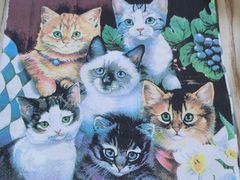 -李小姐の猫咖啡馆(五角场店)