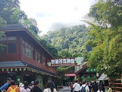 -野象谷景区