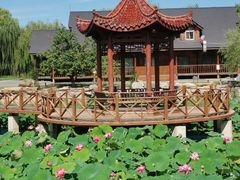 -稻香湖景欢乐岛温泉城堡