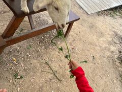 -盈香心动乐园