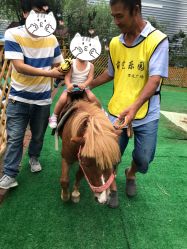 -萌宠亲子动物乐园(槐房万达店)