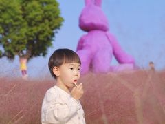 -阳澄湖半岛旅游度假区