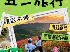 -大围山国家森林公园