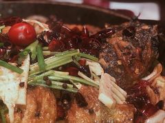 -老板恋上鱼(高新万达店)