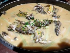 -刘胖子家常菜·蹄花焖藕(兴业店)