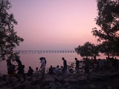 -宝安西湾红树林湿地公园