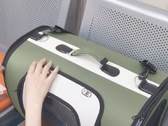 -创凡宠物医院·骨专科  猫科中心(西乡分院)