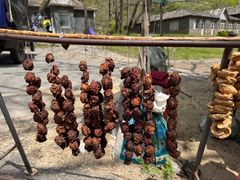 -大连天门山国家森林公园