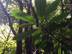 -西安国际创新人才交流中心•药浴温泉