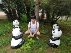 -南戴河国际娱乐中心