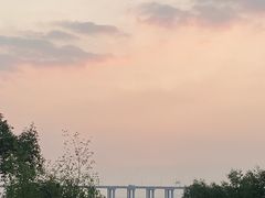 -宝安西湾红树林湿地公园