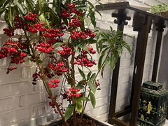 -红井路游艺炖锅·音乐餐吧(十渡店)