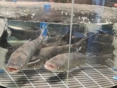 -皇厨荣升名厨家宴.赣州客家菜(金鹏怡和园店)